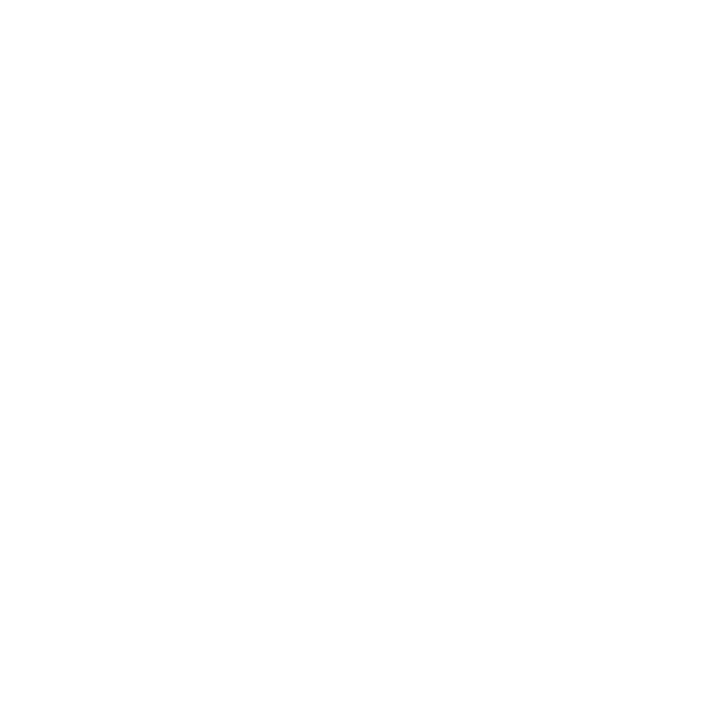 Ganseman Jr.